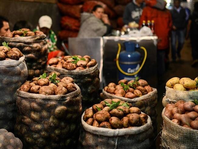 Minagricultura dio parte de tranquilidad sobre abastecimiento de alimentos en el país. Foto: Colprensa