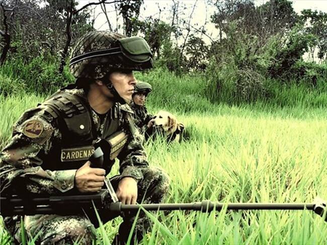 Lanzan aplicación para que jóvenes consulten su situación militar. Foto: Colprensa