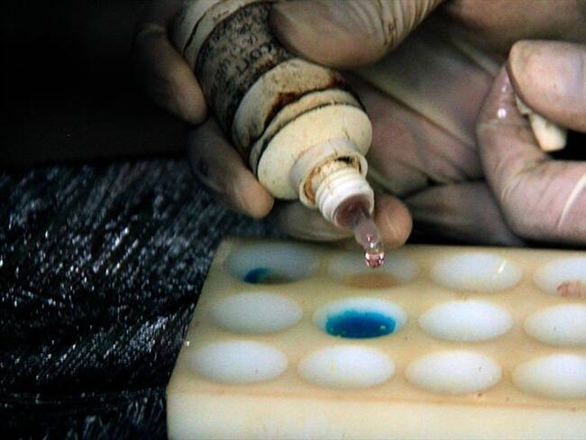 El costo semanal de la producción de droga superaba los 5.000 millones de pesos, según las autoridades. Foto: Getty Images / César Mariño