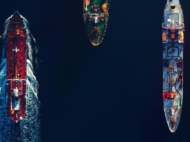 ONG pide prohibir exportaciones marítimas de animales vivos desde Colombia