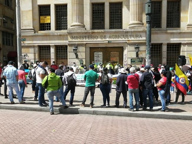 Minagricultura diseñará incentivo para productores de arroz a partir de 2022