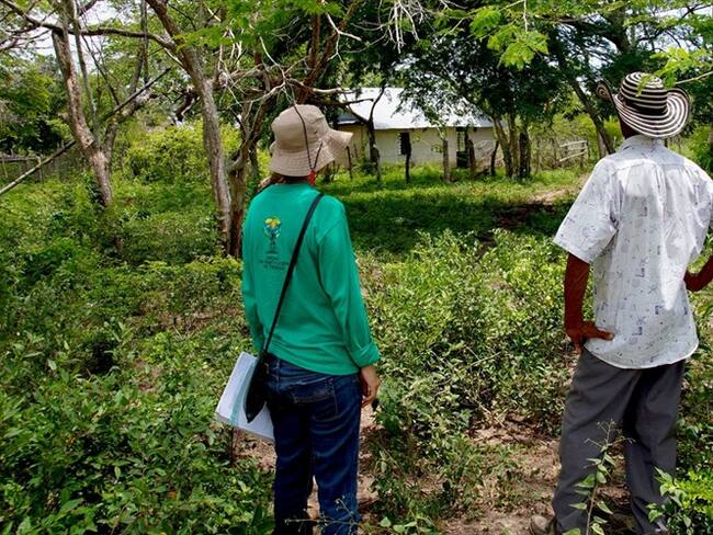 Desplazamiento . Foto: Colprensa