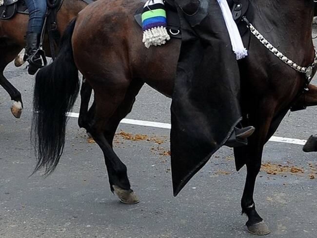 Cabalgatas en Jamundí. Foto: Colprensa